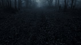 Foggy dark forest. Trees in thick fog. Scary creepy mysterious path - Powered by Shutterstock - Get 15% off with code: PIKWIZARD15