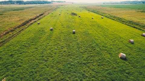 Haystack on field, drone view. Hay bale from residues grass. Hay stack for agriculture. Hay in rolls after combine harvester working in wheat field. Harvest season. Haystacks making.