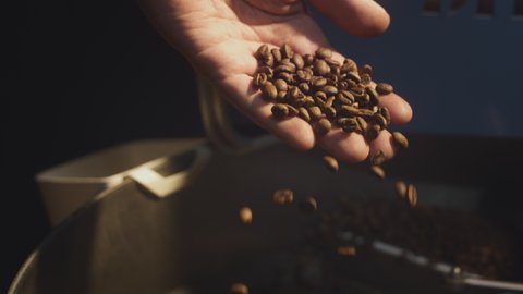 Roasting beans. A professional industrial roaster rotates organic coffee beans. The barista takes the hot aromatic coffee with his hand, checks the roast, mixes the beans. Slow motion