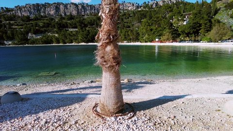 Handheld shot of Kasjuni beach in Split, Dalmatia region in Croatia. Scenic landscape with a pine tree with rocks and lush foliage. Traveling during the Covid Pandemic. Also known as Kasuni Beach 4K