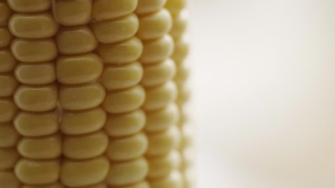 Corn cob extreme close up stock footage
