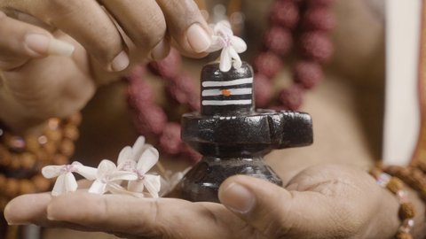 Close up hands of Indian priest offering flowers to shiva linga in hand at monastery - concept of devotee,treditional culture and faith in good.