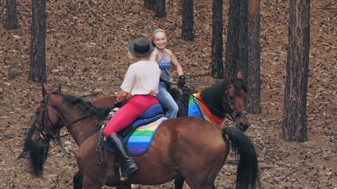 736 Woman Hugging A Horse Stock Video Footage - 4K and HD Video Clips