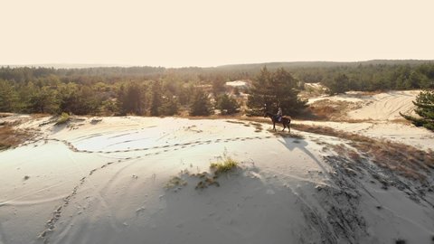 Horse riding. Equitation. aero. top view. Silhouettes of rider and a horse. horsewoman is riding a horse on sandy hill, towering over pine forest, at sunset, in sun rays.