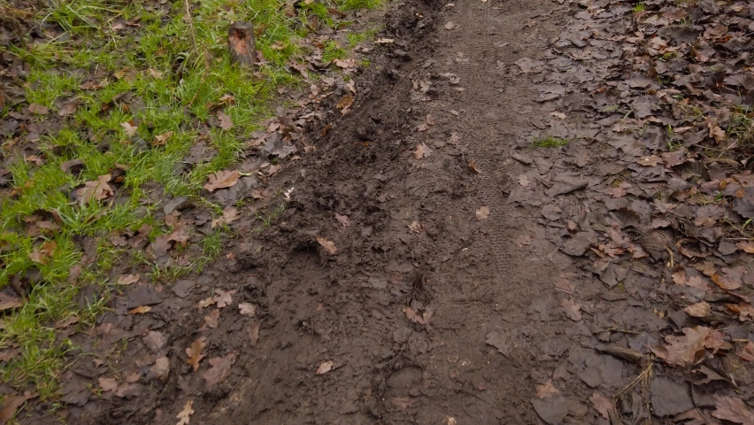 Muddy forest trek path with rotten leaf, high angle dolly shot