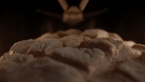 Close-up of a baker puts homemade bread in the oven. Making beautiful homemade country bread. Slow motion 4K video