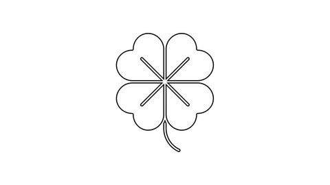 Black line Four leaf clover icon isolated on white background. Happy Saint Patrick day. 4K Video motion graphic animation.