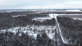 winter forest video with drone