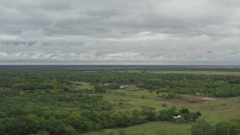 Aerial view of the nature of Paraguay. Beautiful trees in the forest landscape.