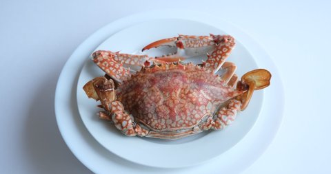 boiled crabs on a white background. red and white crab claws. floating crab