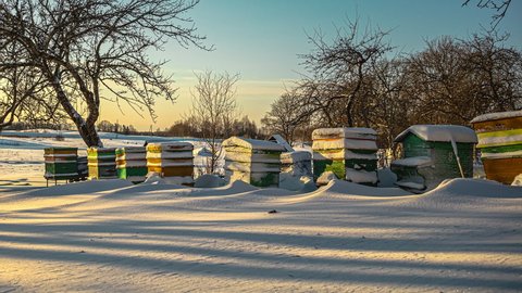 Time lapse on the view of the bee box frozen in the snow and fog with the trees in a natural background