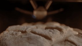 Close-up of a hostess putting homemade bread with a pattern in the oven. Making beautiful homemade country bread. Slow motion 4K video