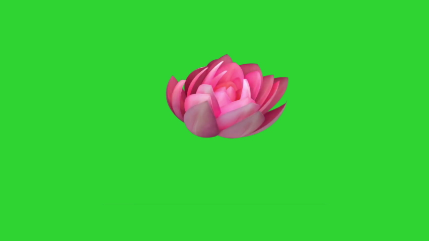Animation of a blooming lotus flower on a green background. | Shutterstock HD Video #1085254190