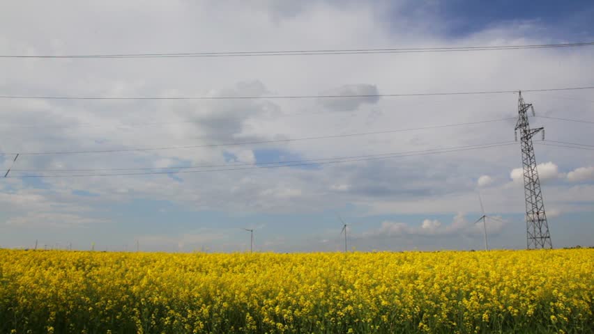 Alternative energy on yellow flower field