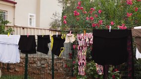 Back view of a topless man hanging wet clean clothes on clothesline after laundry on the backyard of a villa. Person is making house chores outside at hot summer day. He fastens shirt with clothespin.