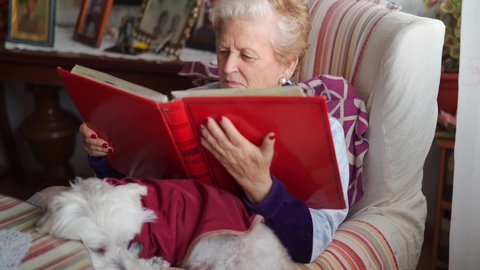 Senior woman viewing an album of old photos with her dog