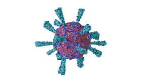 Loopable with Alpha Matte: Single rotating coronavirus virion particle isolated on white background. Stylyzed SARS-CoV-2 (COVID-19) coronavirus 3D animation. - Powered by Shutterstock - Get 15% off with code: PIKWIZARD15