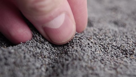 Poppy seeds falling from hand in slow motion. Dietary nutritional fiber. Super food grains