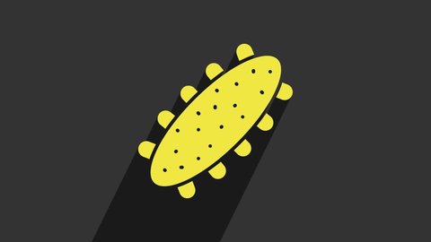 Yellow Sea cucumber icon isolated on grey background. Marine food. 4K Video motion graphic animation.