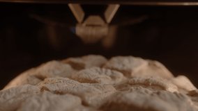 Beautiful homemade rustic bread with a pattern is placed in the oven. Slow motion 4K video