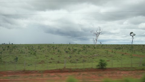 View from the side window of a car driving on the road passing by landscapes of rural areas on a cloudy day with no rain, but raining distantly. Landscape of Mato Grosso do Sul state, Brazil.
