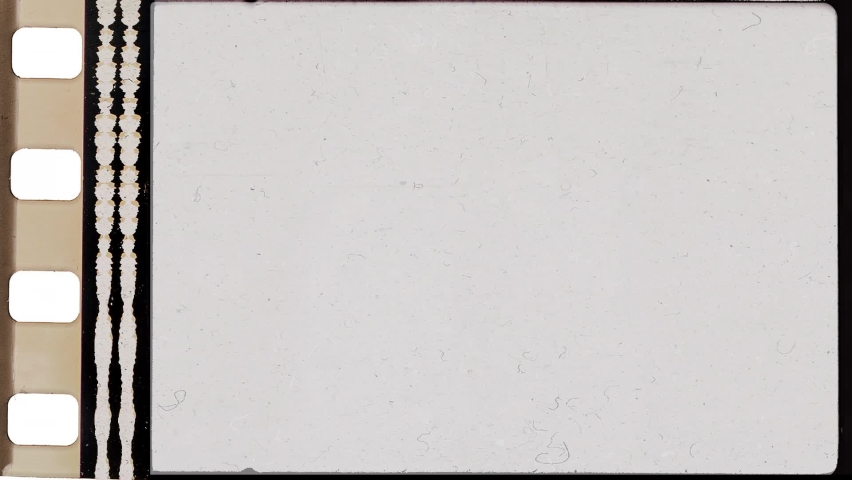 Shutterstock Video
