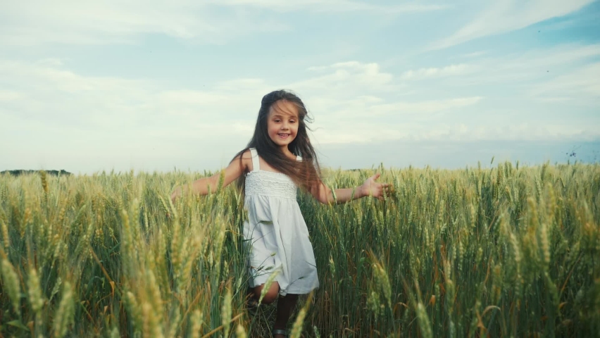 child girl running field park. girl kid run in the park wheat field at sunset silhouette. people in the park concept. joyful a run. happy family and little baby fun child summer kid dream concept Royalty-Free Stock Footage #1085304527