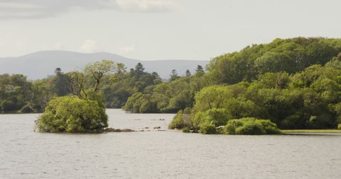 Lough Leane Lake And Green Foliage At Killarney National Park In County Kerry, Ireland. wide