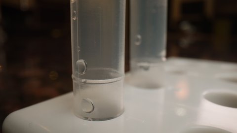 Close up COVID 19 test swabs in tubes for rapid antigen tests.