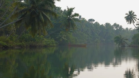 Kerala, India - December 19 2021: Lush greenery with Palm trees or Coconut trees and Backwater A Shot from Kerala India. 4K Video.