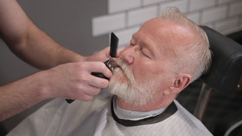 professional modern mens haircutter makes haircuts and styling of mustaches and haircuts to a stylish old client in the salon