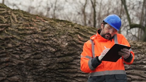 Forestry technician talking on mobile phone in forest during logging deforestation process