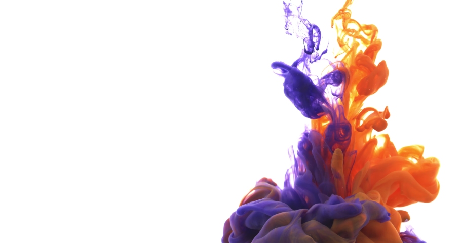 Purple and orange forming paint, ink in the aquarium on a white background.  Colorful ink in water, paint splash swirling underwater isolated. 4K.