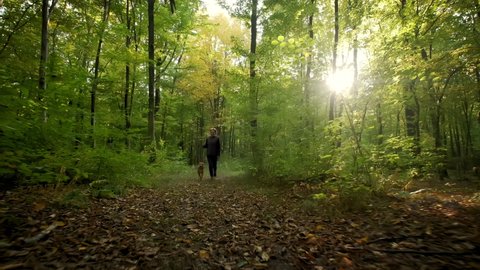 Woman feet walking the dog in the park forest. travel concept. Wide shot slow motion footage