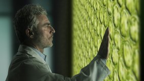 scientist botanist studying photosynthesis of plant in laboratory on wide monitor,biologist touch screen to zoom in into leaf cells - Powered by Shutterstock - Get 15% off with code: PIKWIZARD15
