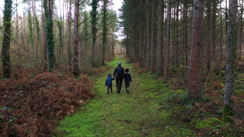 a woman and children walking in a forest in normandy Royalty-Free Stock Footage #1085327570