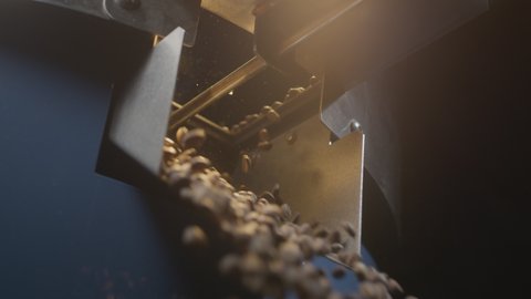 Roasted coffee beans fall out of the chiller. Arabica beans are poured and rotated. Industrial roasting and production, coffee industry. Close-up, brown grains fall down to be filled into packages.