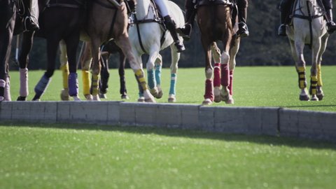 Polo game, two teams on horseback in slow motion. Horseback riding. Polo in the grass arena, equestrian sports in the stadium. Strikes the ball with a wooden mallet. Luxury polo club for celebrities.