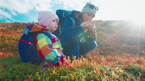 Family hiking in the arctic area. Mother and toddler girl hike in arctic tundra during sunny autumn day and eat berries in the wild area