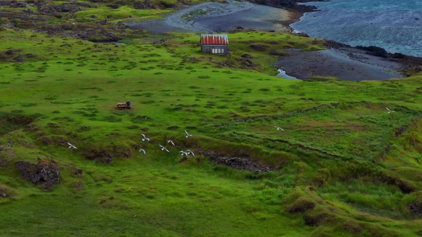 Flock Of Birds Flying Over Green Fields Towards The Ocean Near Gardakirkjugardur In Gardabaer, Iceland.