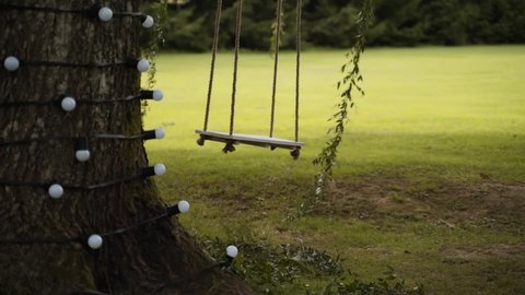 Empty wooden eco-friendly swing hangs on large oak tree on a summer day. The trunk of the tree is decorated with garlands of light bulbs and green lianas of the plant.