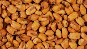 Close-up view 4k stock video footage of tasty bright orange organic salted fried dried corn seeds isolated. Food video background
