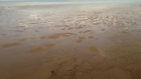 Birds flying below the drone able. Reflections on the beach with the tide low