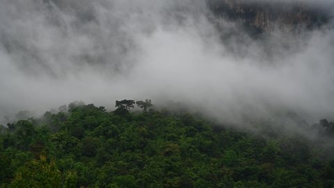 Fog so thicking to the left over a rainforest revealing a rock mountain wall in Sai Yok, Kanchanaburi, Thailand.