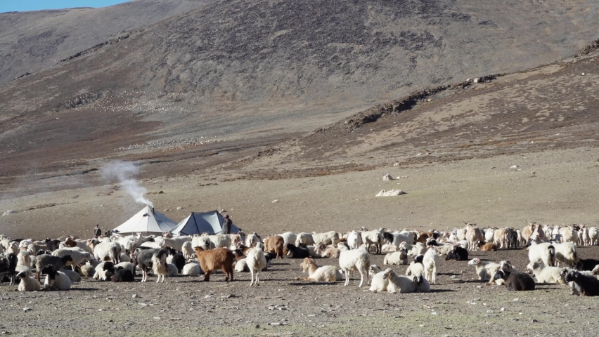 Tibetan tent Stock Video Footage - 4K and HD Video Clips | Shutterstock