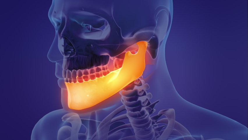 Animation of a painful mandible Royalty-Free Stock Footage #1085390453