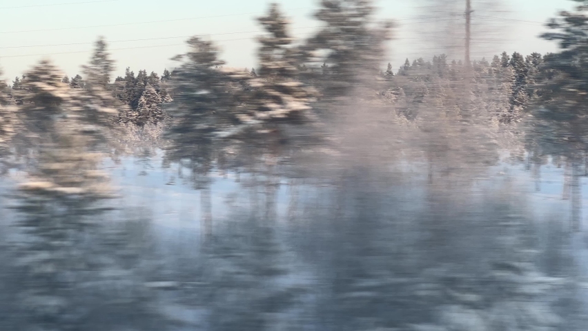 View of the winter forest landscape from the window of a moving train on a sunny day with parallax effect Royalty-Free Stock Footage #1085393516
