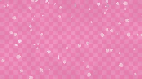 Flurry of cherry blossoms on pink checkered pattern (seamless loop)