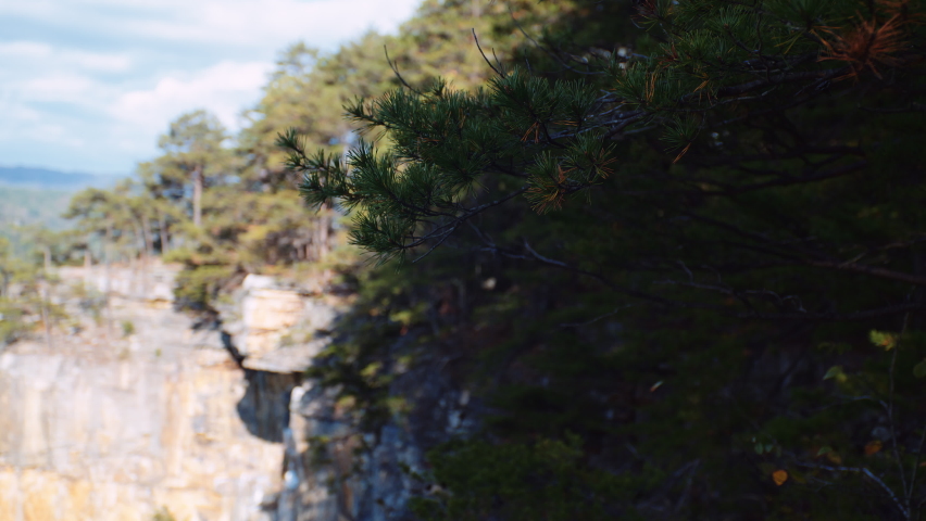 Overlook at Rock Face with Pine Trees