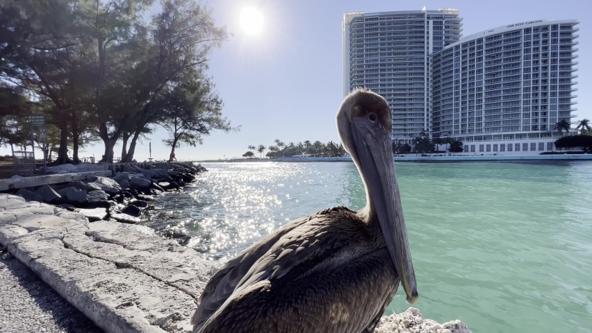 Halouver north miami beach - Florida